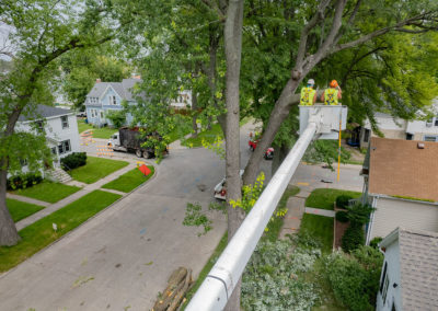 Maple Ave. Tree Removal, July 2021 photo