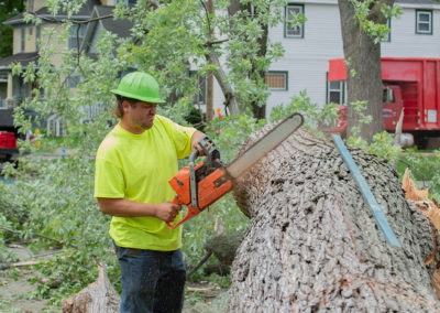 Maple Ave. Tree Removal, July 2021
