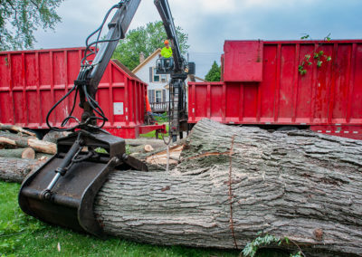 Maple Ave. Tree Removal, July 2021